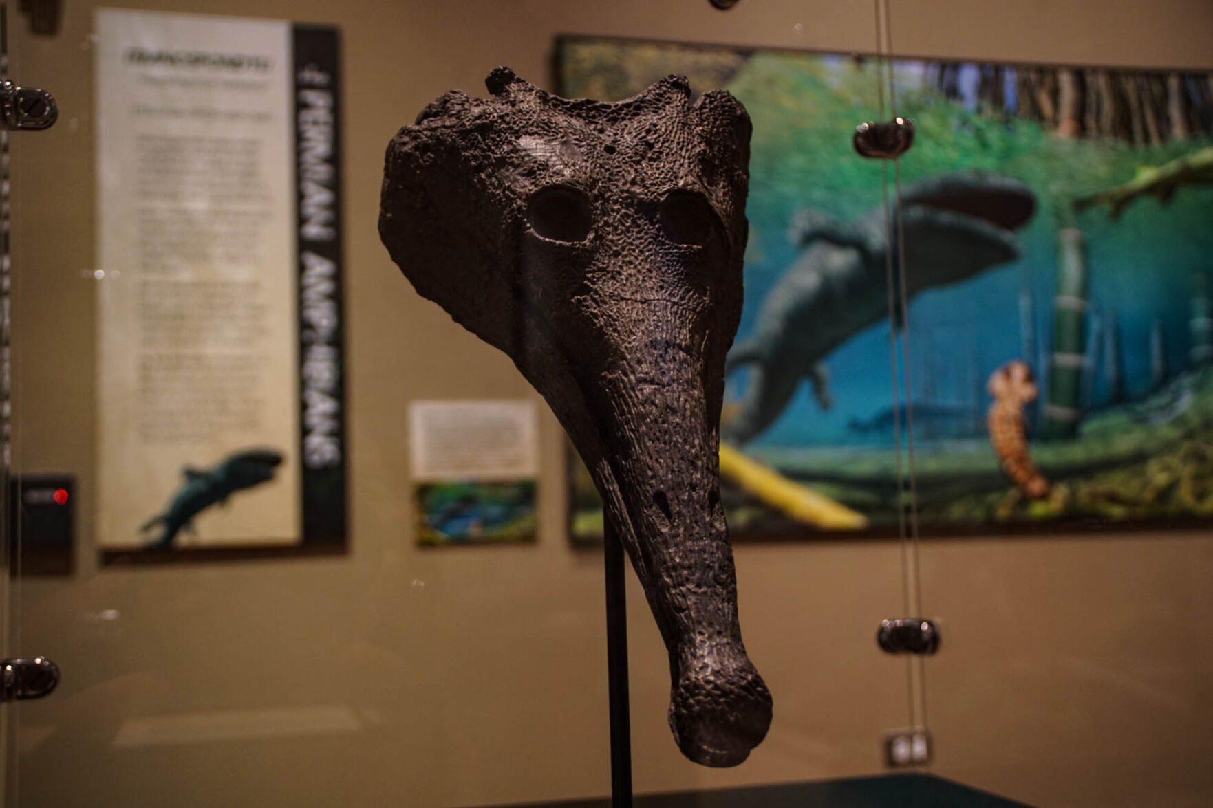 Fossil